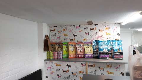 Bee's Dog Grooming and pet supplies photo